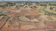 湖南祁阳高标准农田改造升级 夯实乡村振兴坚实“耕”基